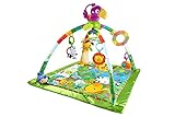 Fisher-Price DFP08 Rainforest Erlebnisdecke, Krabbeldecke mit Musik und Lichtern weichem Spielbogen Babyerstausstattung, ab 0 Monaten - 2