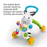 Fisher-Price DLD94 Zebra Lauflernwagen Lauflernhilfe mit Musik und Lichtern lehrt Buchstaben und Zahlen, ab 6 Monaten deutschsprachig - 8