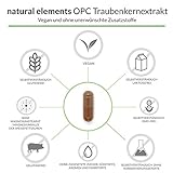 OPC Traubenkernextrakt - 180 Kapseln für 6 Monate - Laborgeprüftes Premium OPC aus europäischen Weintrauben - Ohne unerwünschte Zusätze - Hochdosiert, vegan und hergestellt in Deutschland - 4