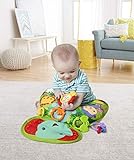 Fisher-Price Spielkissen, mit abnehmbarem Spielzeug, Babyerstausstattung, ab 0 Monaten - 5