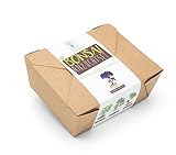 Satte Saat Bonsai Anzuchtset - Züchte Vier Bonsaibäume mit ökologisch abbaubaren Pflanztöpfen Sowie Kokos-Tabletten, inkl. Anleitung, Holz-Sticks und Samen - Ideales Geschenk für Frauen und Männer - 3