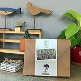 Satte Saat Bonsai Anzuchtset - Züchte Vier Bonsaibäume mit ökologisch abbaubaren Pflanztöpfen Sowie Kokos-Tabletten, inkl. Anleitung, Holz-Sticks und Samen - Ideales Geschenk für Frauen und Männer - 5