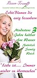 Rosen-Te-Amo Konservierte Rose Valentinstag Geschenk rote Rose - Haltbare Rose (echte Blume) über JAHRE haltbar ohne WASSER - Freundin Geschenk Frau Infinity Rose Das Geschenk zum Valentinstag - 8