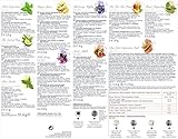 TEEKANNE TEALOUNGE System Starter-Set, warmrot - 8