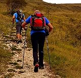 gipfelsport Wanderstöcke I Teleskop Trekkingstöcke mit Tasche I schwarz, leicht, verstellbar I für Damen und Herren - 8