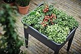 Elho Green Basics Anzucht Tisch Xxl - Übertopf - Lebhaft Schwarz - Draußen  - L 75.5 x W 36.5 x H 65.1 cm - 12