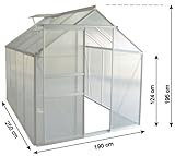 Zelsius - Aluminium Gewächshaus, Garten Treibhaus in Verschiedenen Größen, mit Hohlkammerstegplatten, wahlweise mit Stahl-Fundament-Rahmen (190 x 250 cm - 6 mm Platten, mit Fundament) - 2