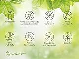 plantoCAPS® „Endlich Abnehmen“ Kapseln - 7