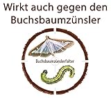 Celaflor Schädlingsfrei Careo Konzentrat, vollsystemisches Mittel mit schneller Wirkung gegen Schädlinge an Pflanzen, 100 ml - 6