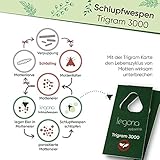 Legona® - Schlupfwespen gegen Lebensmittelmotten/Biologische & Nachhaltige Bekämpfung von Motten in Lebensmitteln / 1-3 Trigram-Karte à 3 Lieferungen/Alternative zu Mottenspray und Mottenkugeln - 2