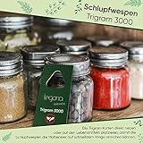 Legona® - Schlupfwespen gegen Lebensmittelmotten/Biologische & Nachhaltige Bekämpfung von Motten in Lebensmitteln / 1-3 Trigram-Karte à 3 Lieferungen/Alternative zu Mottenspray und Mottenkugeln - 4