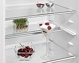 AEG RKB73924MX Freistehender-Kühlschrank / 1850 mm / 358 L / CustomFlex - flexibles Türablagesystem / Farbe: Edelstahltürfronten, silberne Seitenwände - 10
