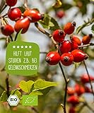 BIO Hagebuttenpulver - 500g, Rohkostqualität - 100 Prozent BIO, Pulver aus ganzen Hagebutten gemahlen, Großpackung mit Preisvorteil - Gemahlen, abgefüllt und kontrolliert in Deutschland (DE-ÖKO-005) - 6