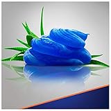 Gillette Fusion5 Ultra Sensitive Rasiergel Für Männer, 3er Pack (3 x 200 ml) - 6