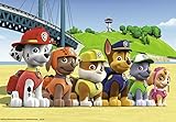 Ravensburger 09064 - Heldenhafte Hunde - 2
