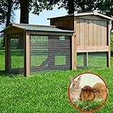 Zooprimus Kaninchenstall 01 PL Hasenkäfig - MEISTER LAMPE - Stall für Außenbereich (für Kleintiere: Hasen, Kaninchen, Meerschweinchen usw.) - 3