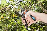 GARDENA Gartenschere B/S-XL: schneidet Äste und Zweige mit einem Durchmesser von bis zu 24 mm problemlos und sauber durch, Bypass Schneidprinzip, Made in Germany (8905-20) - 4