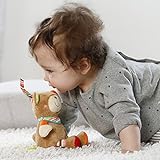 Fehn 091014 Mini-Spieluhr Teddy / Kuscheltier mit integriertem Spielwerk mit sanfter Melodie zum Aufhängen an Kinderwagen, Babyschale oder Bett, für Babys und Kleinkinder ab 0+ Monaten - 3