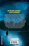 In ewiger Freundschaft: Kriminalroman | Der neue packende Taunus-Krimi der Bestsellerautorin (Ein Bodenstein-Kirchhoff-Krimi, Band 10) - 2