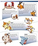 Pokémon: Das große Lexikon: Mehr als 300 Seiten geballtes Wissen - für alle kleinen und großen Pokémon-Fans! - 11