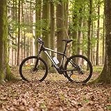 Ultrasport Hardtail Mountainbike 26 Zoll, 21-Gang Shimano-Kettenschaltung, Federgabel, mechanische Scheibenbremsen, A-Head Vorbau, inkl. Trinkflasche - 2